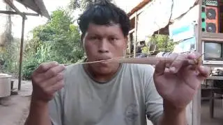 Ashaninka Mouth Bow Music