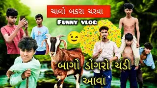 ચાલો બકરા ચરાવવા funny vlog || ડુંગર ચડી ગયા || ચૌધરી #garibbaba