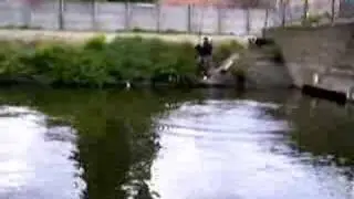 Rapfen fang und Drill