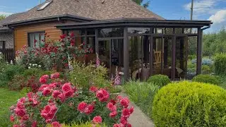 The roses are blooming, the garden is fragrant! The garden has turned into a large rose garden. 0...