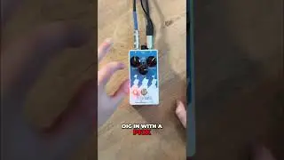 EQD Chelsea - Finger Tone #bass #basspedals #bassgear