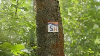 Wandern auf der SaaleHorizontale – Deutschlands Schönster Wanderweg 2023