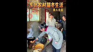 东北农村猫冬生活来人去且 #新农人计划 #乡村美食 #我的农村生活 #猫冬模式开启 #农村原创视频