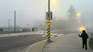 Life in Canada 🌫️ Walking with My Child #Family #Nature #Canada