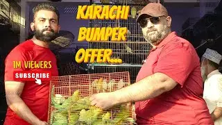 A To Z Birds Shop in Karachi  |Karachi Bumper Offer |Bufferzone Karachi | usama pets