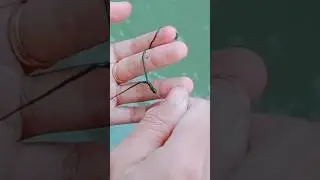 cara menggunakan umpan lumut,untuk nilem #fishing #shorts #umpanjitu @arischaneelfishing