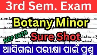 Botany Minor important questions // 3rd Semester Exam // NEP Botany minor Selection