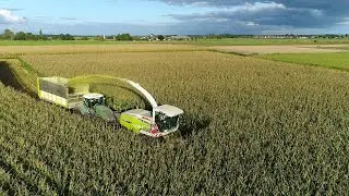 Mais Silage - Claas Jaguar - Fendt 939 + 826 -  Van Spijkeren - Maize harvest - Mais hakselen