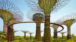 Celebrate Singapore&rsquo;s 50th Anniversary with Viator