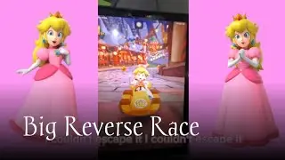 Peachette's Item Smuggling #11
