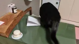 こしあん通信　その118　【下剋上 鏡餅を解体する】