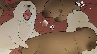 背景配音-下雨天白噪音