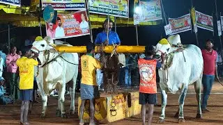 2025-గురజాల.సీనియర్స్.7🏆.10వ జత.GP చౌదరి బుల్స్ గూడవల్లి లక్ష్మీ దిక్షత చౌదరి గారు కోండబాలవారిపాలెం