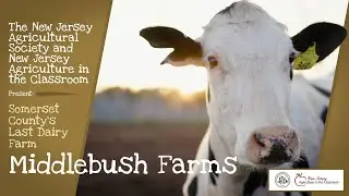 Middlebush Farms | Dairy Farm