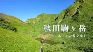 【 東北 登山 】 秋田駒ヶ岳　国見温泉から登る 日帰り登山