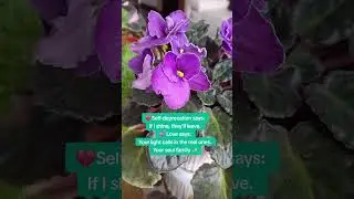 channeled message for Lightworkers 💕 #spirituality #manifestation #manifestation #awakening