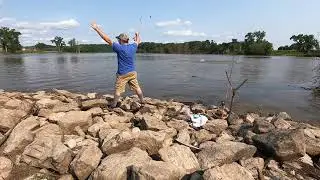 Silver Carp Jumping