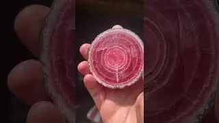 Top quality complete blood red Rhodochrosite slice from old stock. Mined Capillitas Mine, Argentina.