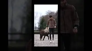 Doing tricks with my mini pony Bear! 🐻 🐴 🥰