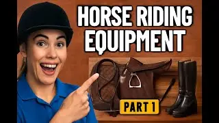Equestrian Gear 101 &ndash; Part 1 | Essential Horse Riding Equipment Explained