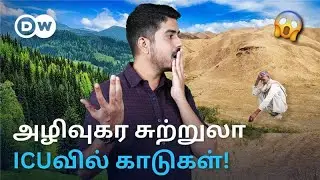 'பசுமை ஆரோக்கியம் இல்லை' - சுவாசிக்க முடியாத தமிழக காடுகள்; Carbonஐ உறிஞ்ச முடியாமல் திணறும் அவலம்