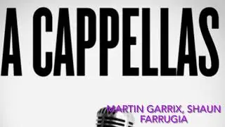 Martin Garrix, Shaun Farrugia - If We&rsquo;ll Ever Be Remembered (Studio Acapella)