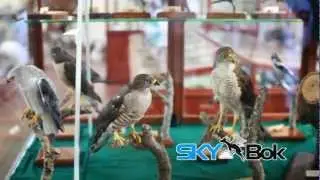 Skybok: Albany Museum (Grahamstown, South Africa)