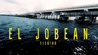 Return to El Jobean | Myakka River Fishing Log 3