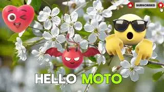 Hello Moto😎Motorola Classic Ringtone #ringtone2025#ringtonemusic#NostalgicSound#HelloMotoRingtone