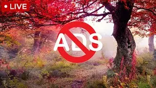 🔴 Fast sleep music no ads, healing music, Meditation, Healing music, Good vibe, fast sleep (NO ADS)