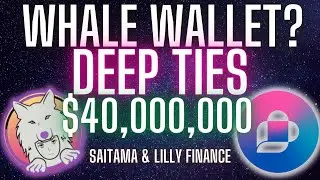 Whale wallet? Saitama whale connected to Lilly Finance