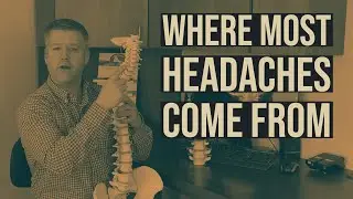Chiropractor Near me Hillsborough NJ