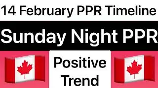 14 February PPR Timeline | Sunday Night | November PPR Timeline SDS Profile Trend