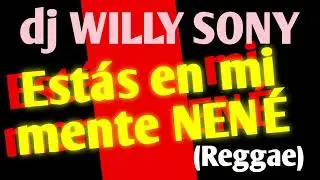 Estás en mi mente NENÉ (Reggae) | dj Willy Sony