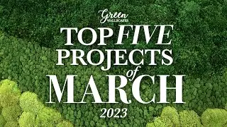Top 5 Moss Walls We Completed in March 2023