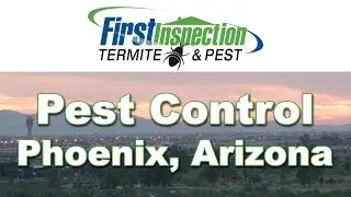 Pest Control Phoenix - (602) 705-0655 - Termites