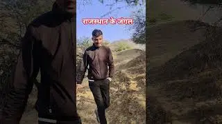 RAJSTHAN WILD  LIFE