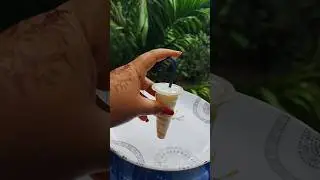 icecream 🍨🍦#youtubeshorts #trindinge #icecreamrecipe