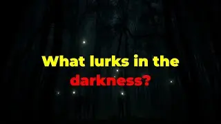 THE UNSOLVED DISAPPEARANCES IN THE WOODS...