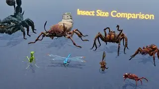 Insect Size Comparison 3D: Ants, Dragonfly, Praying Mantis & More | 3d Comparison