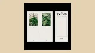 DELACOUR - The Palms