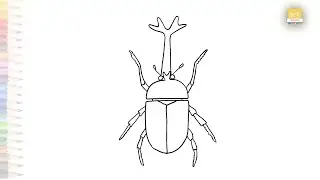 Japanese rhinoceros beetle drawing easy | Insect sketches | How to draw A rhinoceros beetle simply
