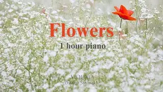 Miley Cyrus - Flowers ( 1 hour of piano for relaxation, stress relief, study, sleep )