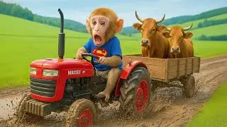 Monkey CP Drives Tractor Through Flood to Rescue an Injured Cow & Fix Damaged Road! 🚜🌧️🐮