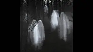 Dr. Rader - Г&eth;&epsilon; ŧы