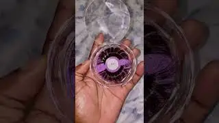 Bold Lashes