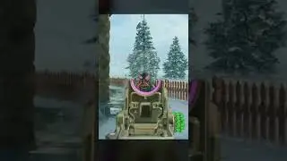This is why I love bo4 hardcore
