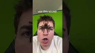 #memes