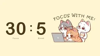 2.5 Hour Study With Me Pomodoro | 30/5  Focus Timer With an Orange Cat 🐾|  | Lo-fi Music