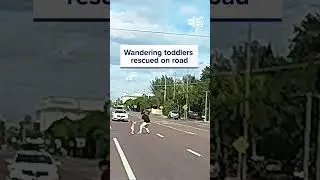 Toddlers wander onto busy Florida highway, rescued by passerby hero.